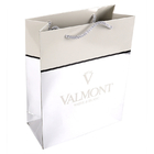 Custom Printed Glossy Silver Paper Carrier Bags With Embossed Logo Suppliers
